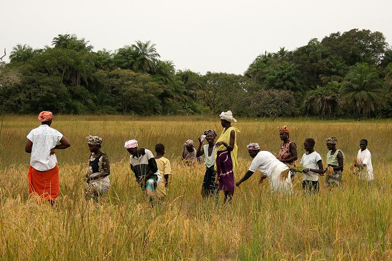 Sénégal
