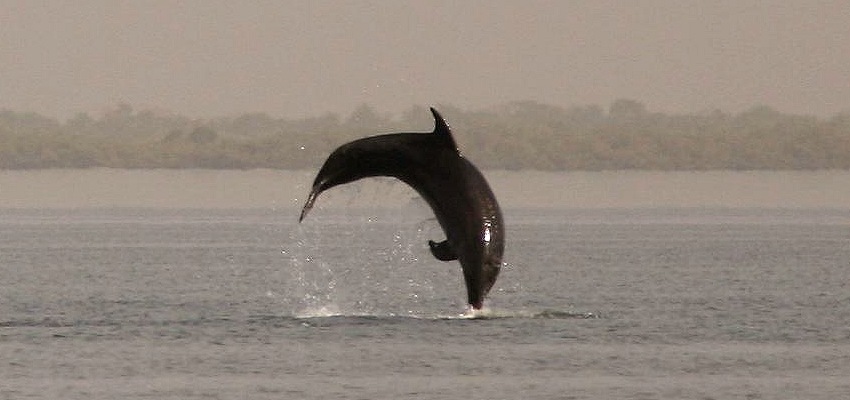 Casamance