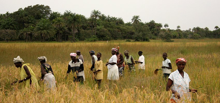 Casamance