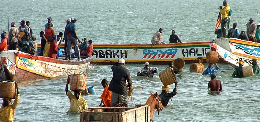 Sine Saloum