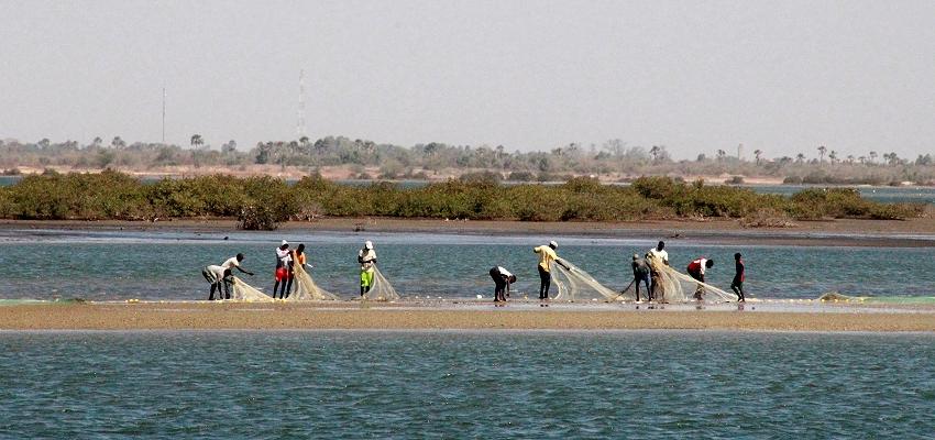Sine Saloum